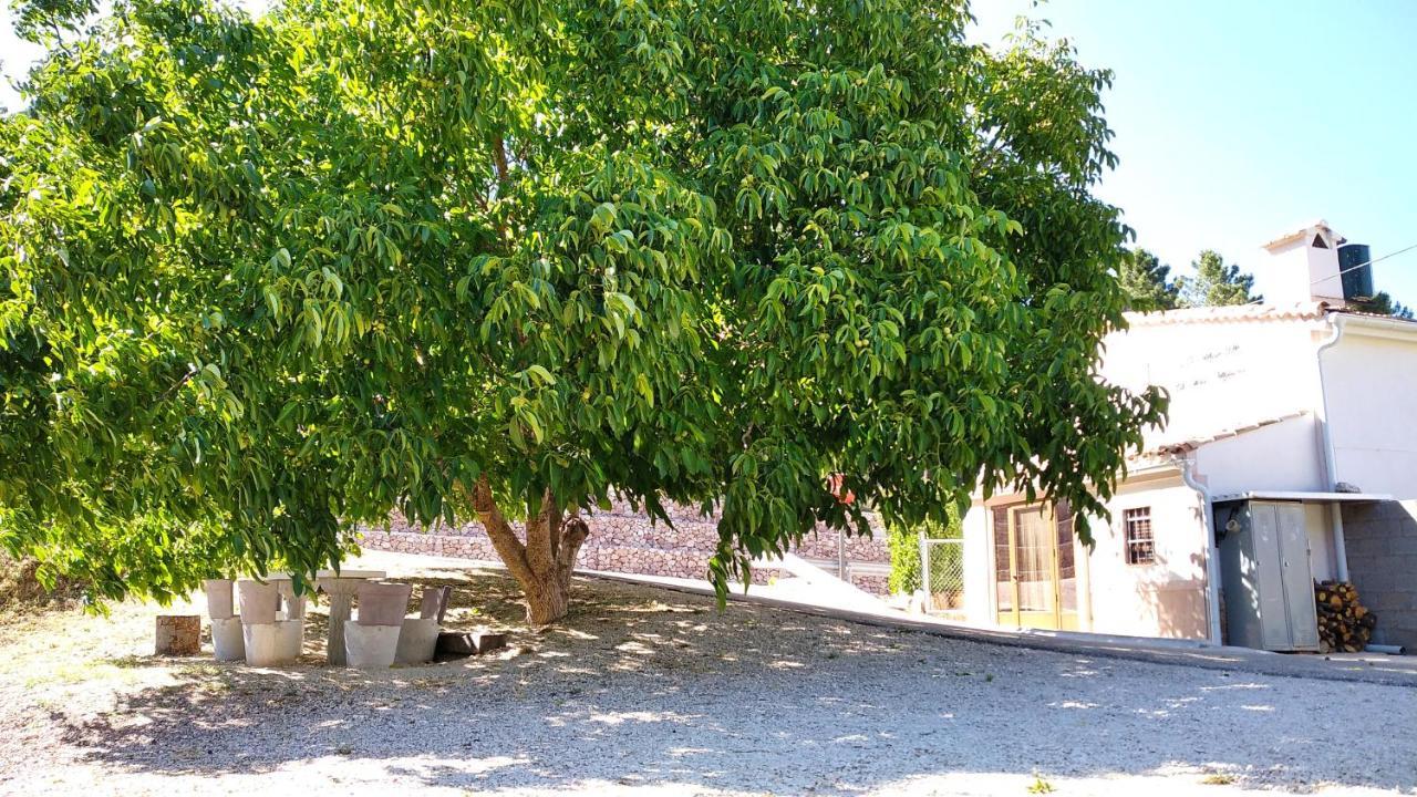 Riópar Venta De La Casa Noguera 빌라 외부 사진